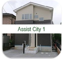 AssistCity1