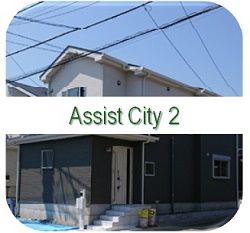 AssistCity2