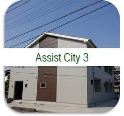 AssistCity3
